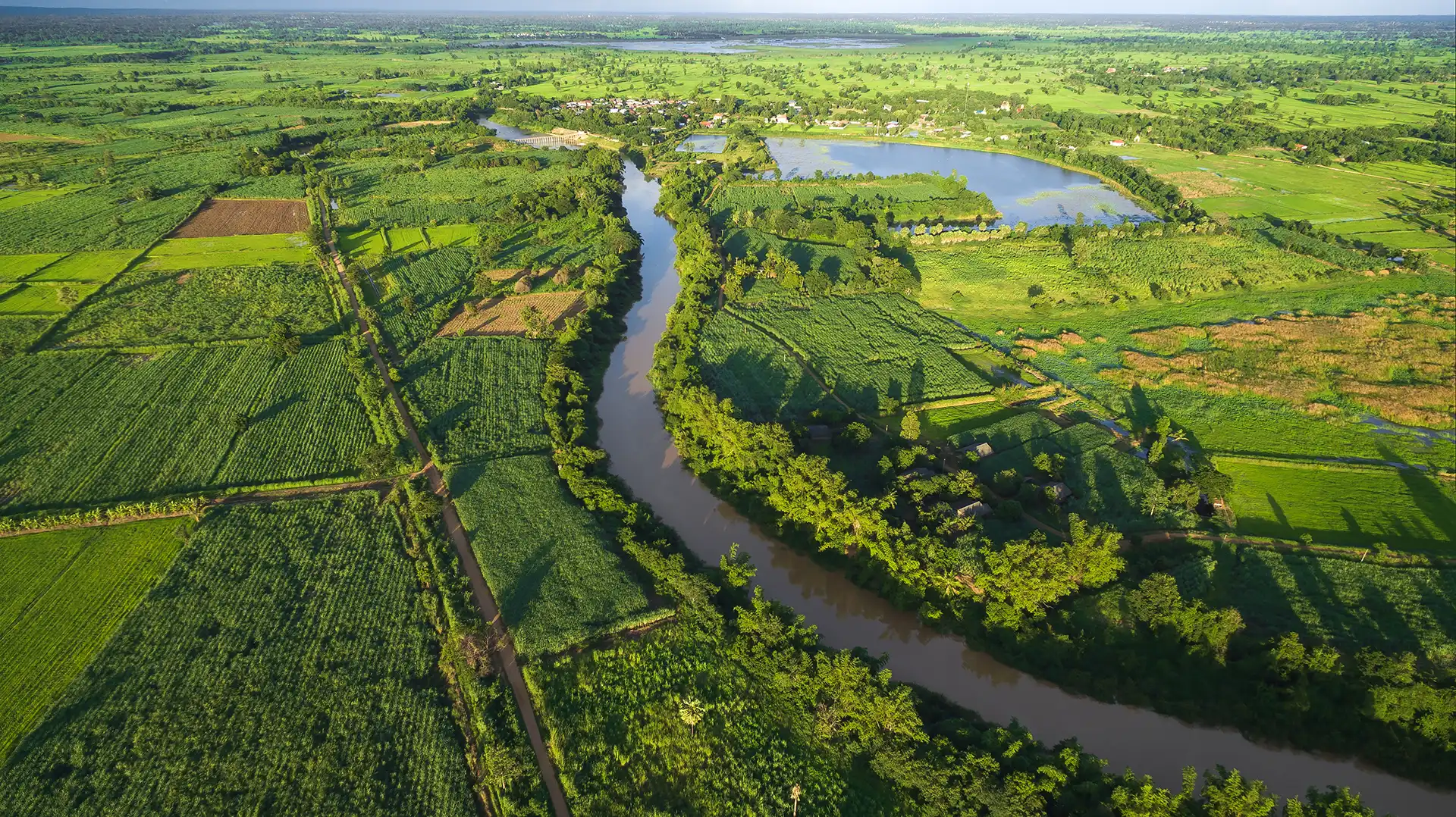 Vista aérea de campos agrícolas
